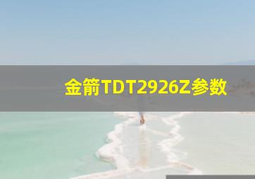 金箭TDT2926Z参数