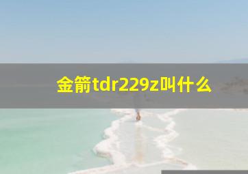 金箭tdr229z叫什么