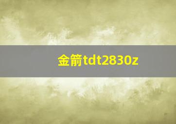 金箭tdt2830z