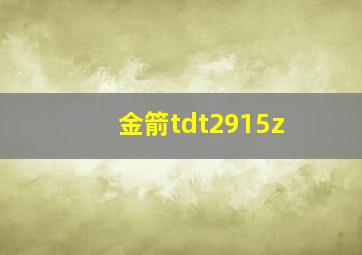 金箭tdt2915z