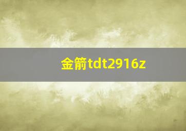 金箭tdt2916z