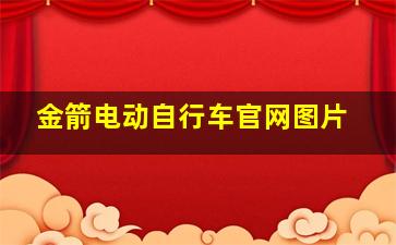 金箭电动自行车官网图片