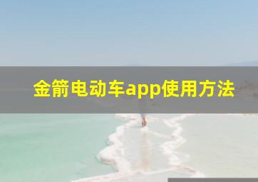 金箭电动车app使用方法