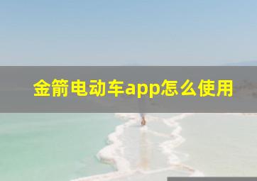 金箭电动车app怎么使用