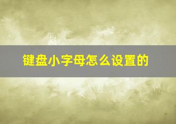 键盘小字母怎么设置的