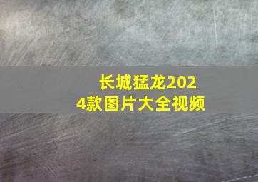 长城猛龙2024款图片大全视频