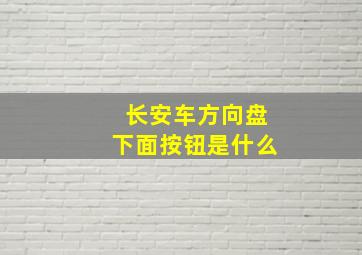 长安车方向盘下面按钮是什么