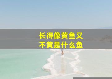 长得像黄鱼又不黄是什么鱼