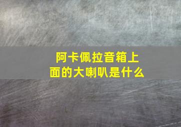 阿卡佩拉音箱上面的大喇叭是什么