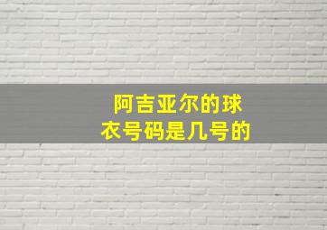 阿吉亚尔的球衣号码是几号的