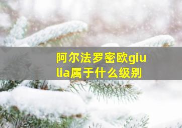 阿尔法罗密欧giulia属于什么级别