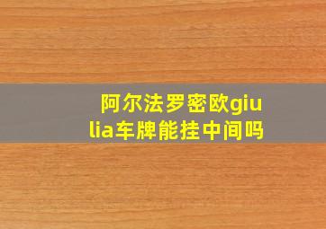 阿尔法罗密欧giulia车牌能挂中间吗