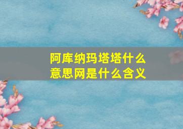 阿库纳玛塔塔什么意思网是什么含义