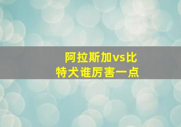 阿拉斯加vs比特犬谁厉害一点