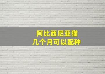 阿比西尼亚猫几个月可以配种