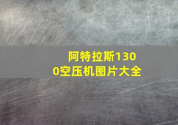 阿特拉斯1300空压机图片大全