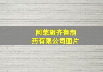 阿荣旗齐鲁制药有限公司图片