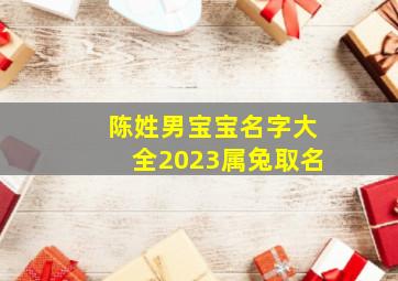 陈姓男宝宝名字大全2023属兔取名