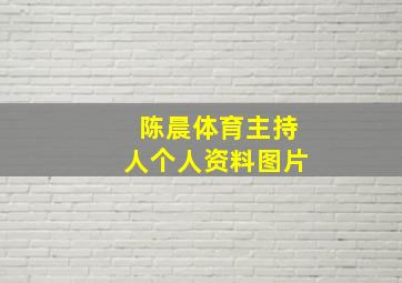 陈晨体育主持人个人资料图片