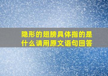 隐形的翅膀具体指的是什么请用原文语句回答