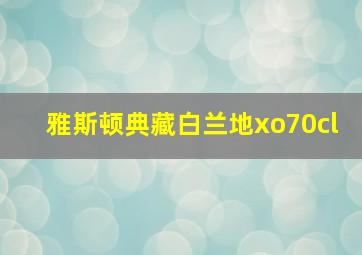 雅斯顿典藏白兰地xo70cl