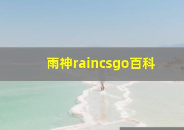 雨神raincsgo百科