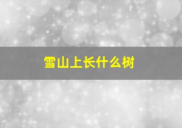 雪山上长什么树