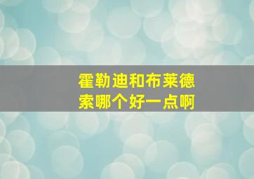 霍勒迪和布莱德索哪个好一点啊