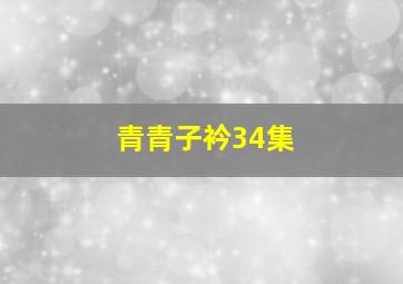 青青子衿34集