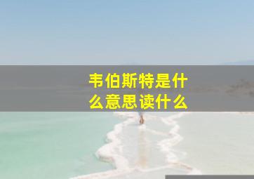 韦伯斯特是什么意思读什么