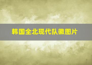 韩国全北现代队徽图片