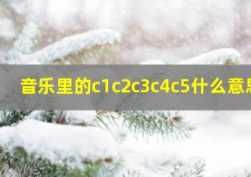 音乐里的c1c2c3c4c5什么意思