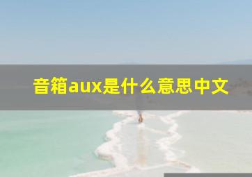 音箱aux是什么意思中文