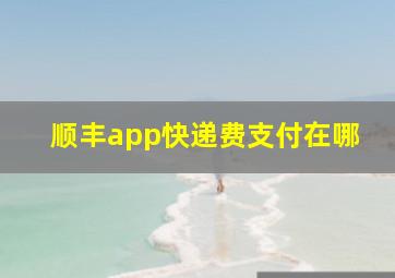 顺丰app快递费支付在哪