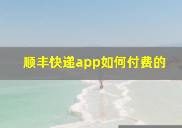 顺丰快递app如何付费的