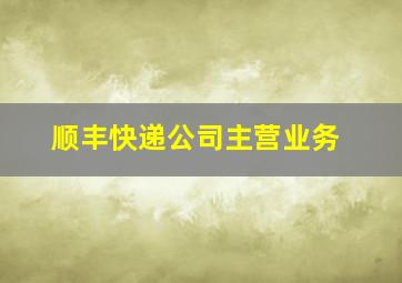 顺丰快递公司主营业务