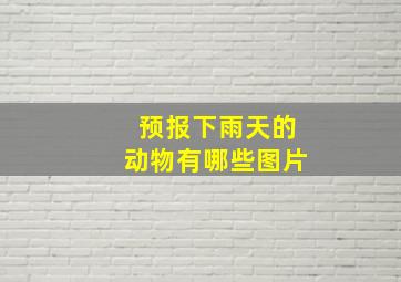 预报下雨天的动物有哪些图片