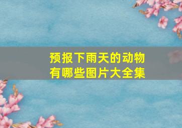 预报下雨天的动物有哪些图片大全集