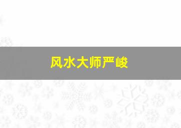 风水大师严峻