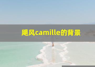 飓风camille的背景