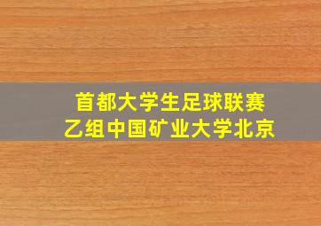 首都大学生足球联赛乙组中国矿业大学北京