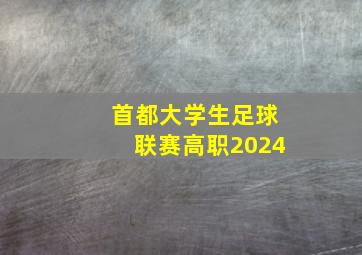 首都大学生足球联赛高职2024