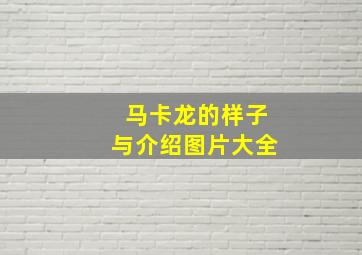 马卡龙的样子与介绍图片大全