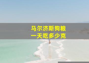 马尔济斯狗粮一天吃多少克