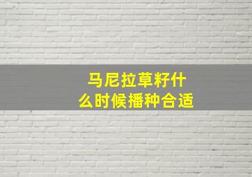 马尼拉草籽什么时候播种合适