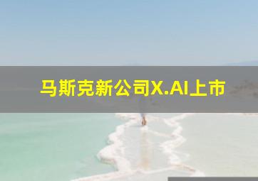 马斯克新公司X.AI上市