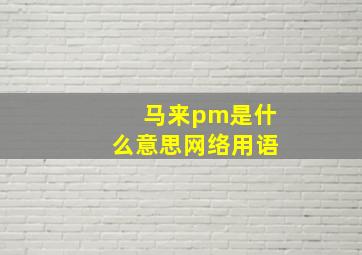 马来pm是什么意思网络用语