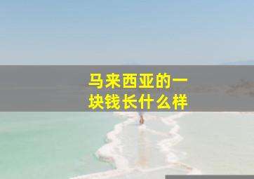 马来西亚的一块钱长什么样