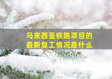 马来西亚铁路项目的最新复工情况是什么