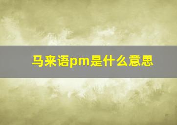 马来语pm是什么意思